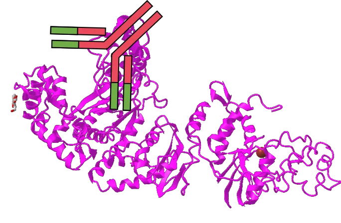 想提高PCR特異性嗎？用對(duì)酶很重要！
