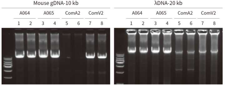 0825-03.png 0825-03.png